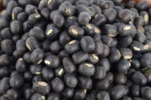 Organic Whole Black Gram, Packaging Size : 10Kg, 25Kg, 50Kg