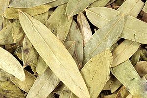 Senna Leaves, Packaging Type : Plastic Paper Packet