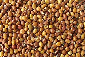 Toor Dal for Curries, Stuffing, Everyday Cooking