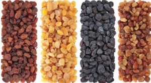 Raisins, Shape : Irregular