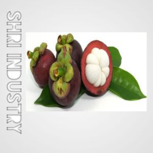 Garcinia Cambogia Juice