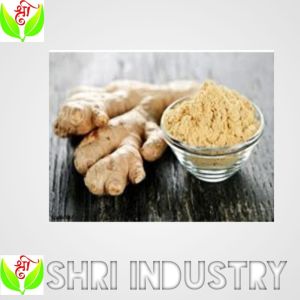 Shri Ginger Powder, Packaging Size : 200 Gm
