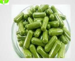 Moringa Oleifera Capsule