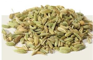Fennel Seeds, Packaging Type : Plastic Packet