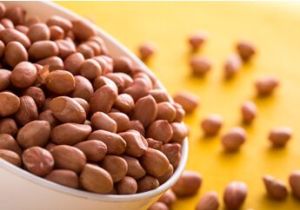 Peanuts - Java for Confectionary, Food Industries