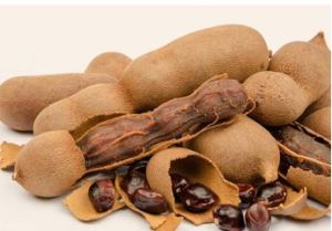 Tamarind Powder, Color : Brown, Packaging Type : Bulk