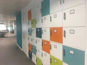 Hinged Powder Coating Gym Storage Locker