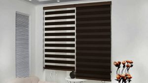 Zebra Blinds