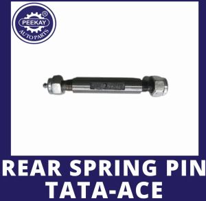 Rear Spring Pin Double Nut Tata Ace