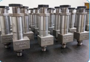 Stainless Steel Safety Relief Valve