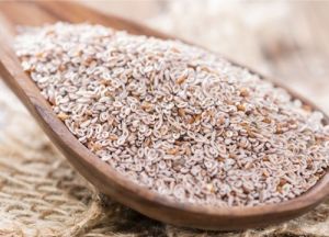 Psyllium Seed