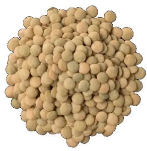 Green Laird Lentils, Size : 6-7mm, 4.45mm, 40-45mg