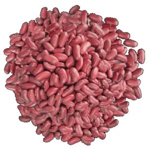 Light Red Kidney Beans