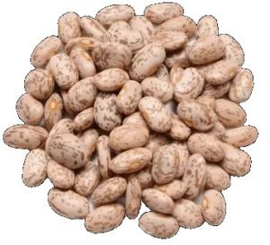 Pinto Beans, Packaging Type : Bulk, Bags for Cooking, Salads, Soups