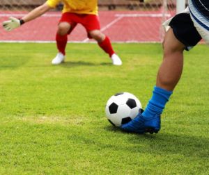 Titanium Sports Landscaping Turf