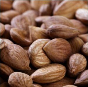 Bitter Apricot Kernels