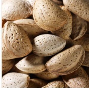 Iranian Almonds with Shell - 250g