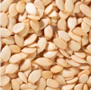 Melon Seeds, Packaging Size : 100g, 500g