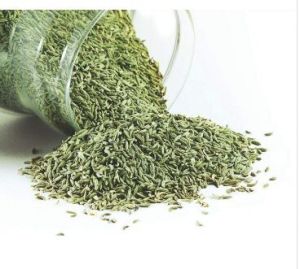 Rasbhari Saunf, Color : Green