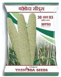 Best Hybrid Bajra Seeds 30Y93