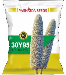 Best Hybrid Bajra Seeds 30Y95