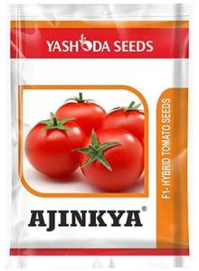 Best Hybrid Tomato Seeds Ajinkya