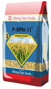 Best Paddy Seeds P-RPN 11