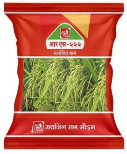 Best Paddy Seeds RS-555