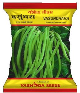 Best Research Cowpea Seeds Vasundhara