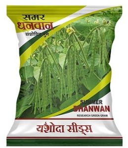 Best Research Green Seeds