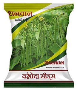 Best Research Green Seeds Dhanwan