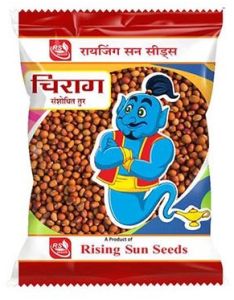 Best Research Tur Seeds Chirag