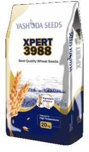 Best Research Wheat Seeds Xpert 3988
