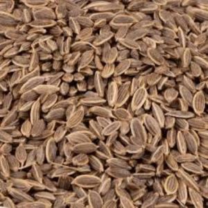 Suva Dill Seed, Packaging Size : 65KG