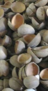 Polished Coconut Shell Bowls, Color : Brown, Brand Name : ME Monkey