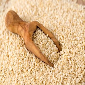 White Organic Sesame Seeds, Packaging Size : 25kg, 50kg, 100kg 9%