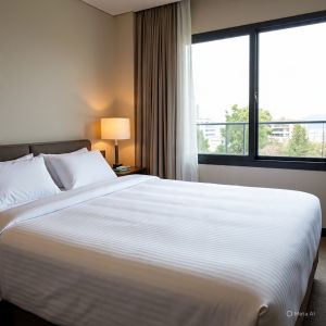 Cotton Solid Bed Sheets Modern, Classic, Bohemian, Farmhouse