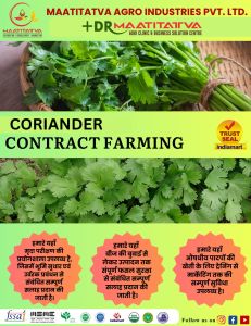 Coriander Contract Farming