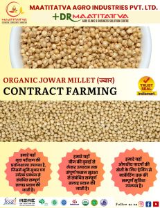 Jowar Contract Farming
