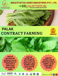 Palak Contract Farming