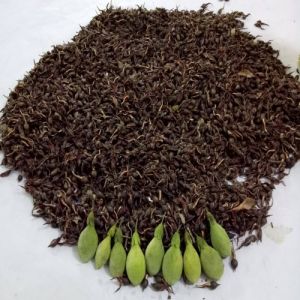 Agarwood Seeds, Color : Brown