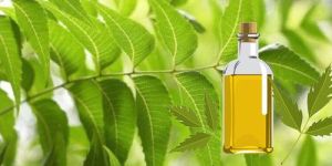 Neem Pure Cold Pressed Oil