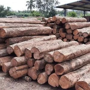 Burma Teak Wood for Making Furniture, Furniture, Flooring, Decking