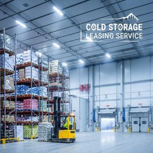 Fully Automatic Cold Storage Leasing Services, Power : 20-50kw