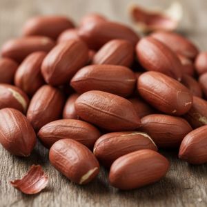 Groundnut Seed Peanut Kernels, Variety : Bold