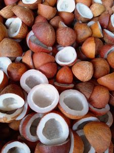 Half Cut Coconut Copra