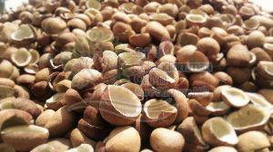 Dried Coconut Copra, Color : Brown for Cooking