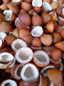 Half Cut Coconut Copra for Cooking, Grade Standard : Food Grade