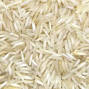 1509 Pusa Basmati Rice