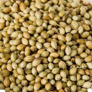 A Grade Coriander Seeds
